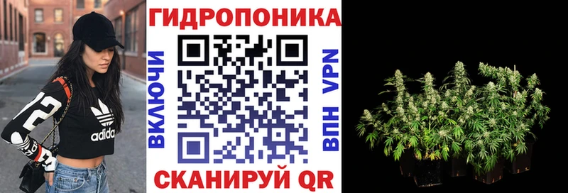 Купить где  Шилка  Марихуана OG Kush 